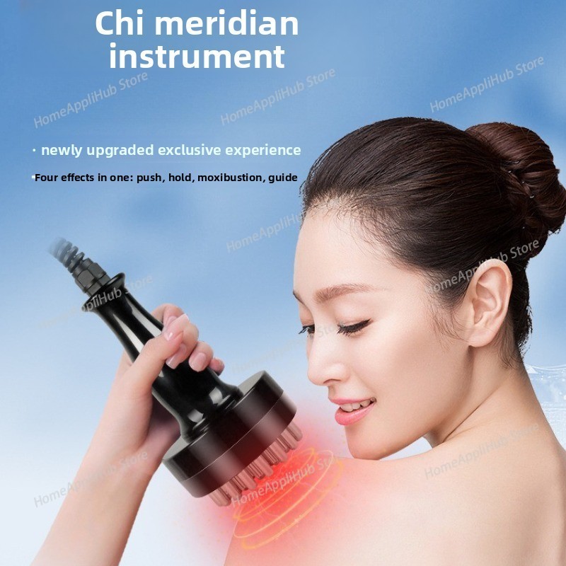 Vitality Meridian Instrument – - Wellness Spa And Massage avaliação e preço